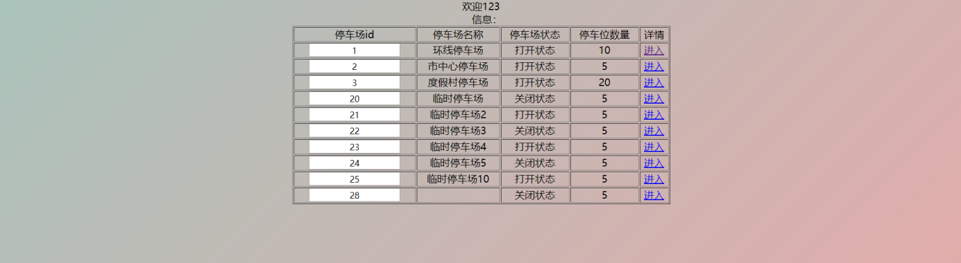 用户界面-停车场信息